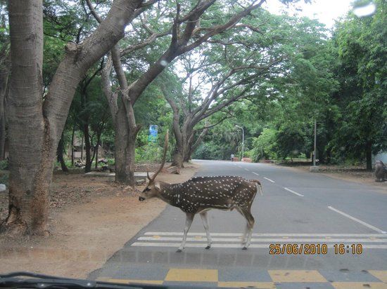 Indian Institute of Technology de Madras